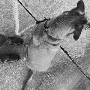 Meet your Posher, Eric